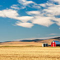Prairie Red